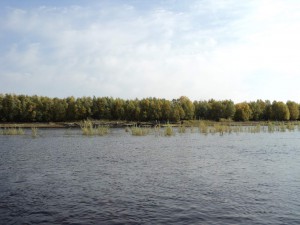 DSC00436_thumb.jpg