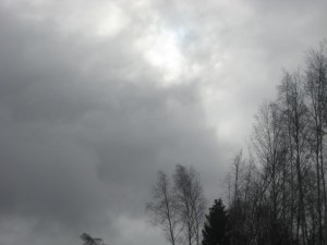 IMG_2023.JPG