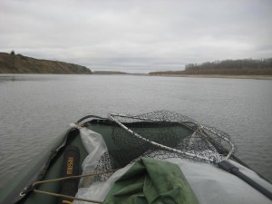 IMG_2024.JPG