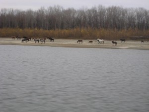 IMG_2027.JPG