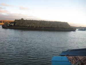 IMG_2036.JPG