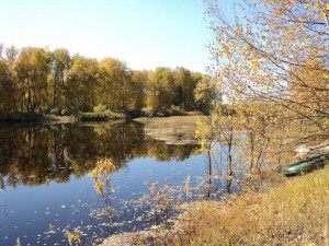 DSC00472_thumb.jpg