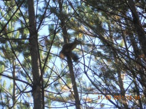 DSCN0105_thumb.jpg