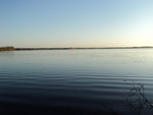 DSC00475_thumb.jpg