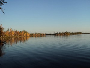 DSC00474_thumb.jpg