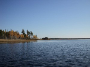 DSC00485_thumb.jpg