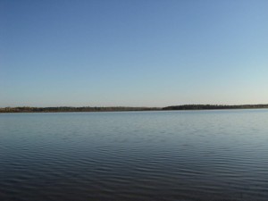 DSC00478_thumb.jpg