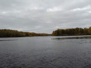 DSC00449_thumb.jpg