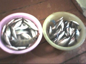 Картинки 006.jpg