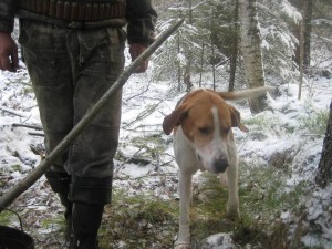 IMG_2182.JPG