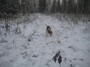 IMG_2178.JPG