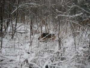 IMG_2180.JPG