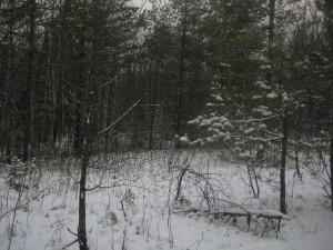 IMG_2184.JPG