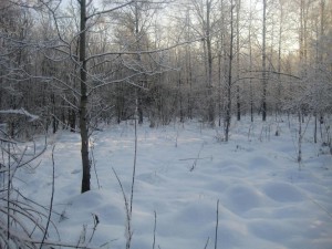 IMG_2198.jpg
