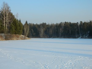 DSCN0915.jpg