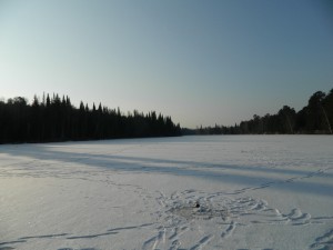 DSCN0923.jpg