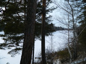 DSCN0957.jpg