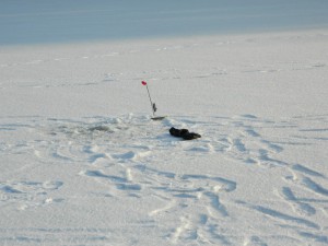 DSCN0924.jpg