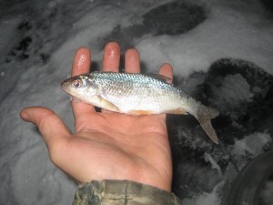 IMG_2206.JPG