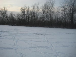 IMG_2222.JPG