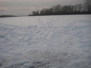 IMG_2227.JPG