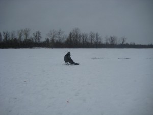 IMG_2243.JPG
