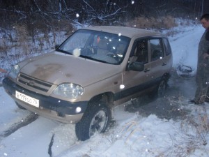 Нива1.jpg