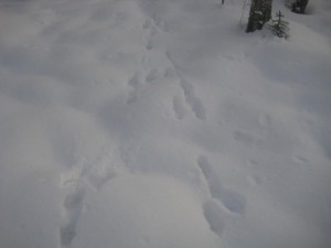 IMG_2250.JPG