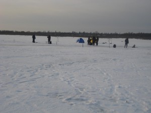 IMG_2274.JPG