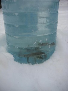 IMG_2268.JPG