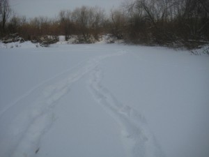 IMG_2269.JPG