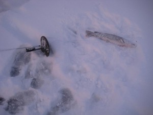 IMG_2326.JPG