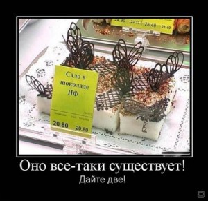Салов шоколаде.jpg