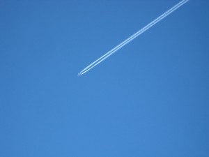 IMG_2975.JPG