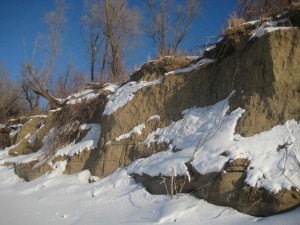 IMG_2989.JPG