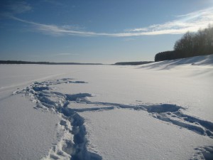 IMG_2992.JPG