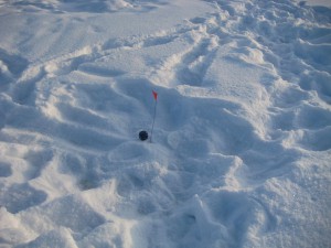 IMG_3016.JPG