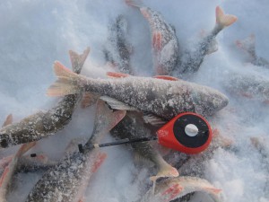 IMG_3028.JPG