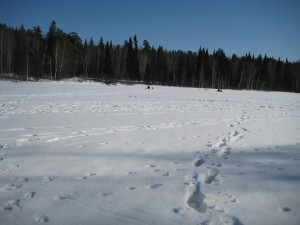IMG_7493.JPG