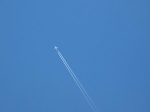 IMG_7495.JPG