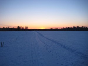IMG_7498.JPG