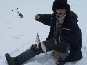 336.jpg