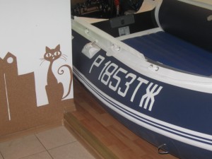 IMG_2954.jpg