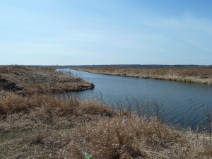 P1020432.JPG