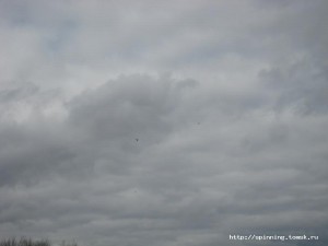 IMG_3543.JPG