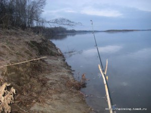 IMG_3557.JPG