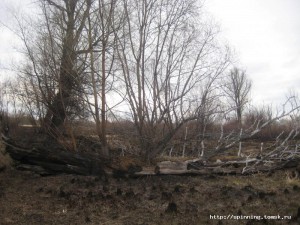 IMG_3560.JPG