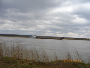IMGP7563_новый размер.JPG