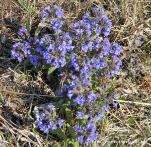 DSCN2755.JPG