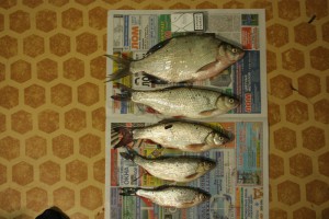 IMG_2577.JPG